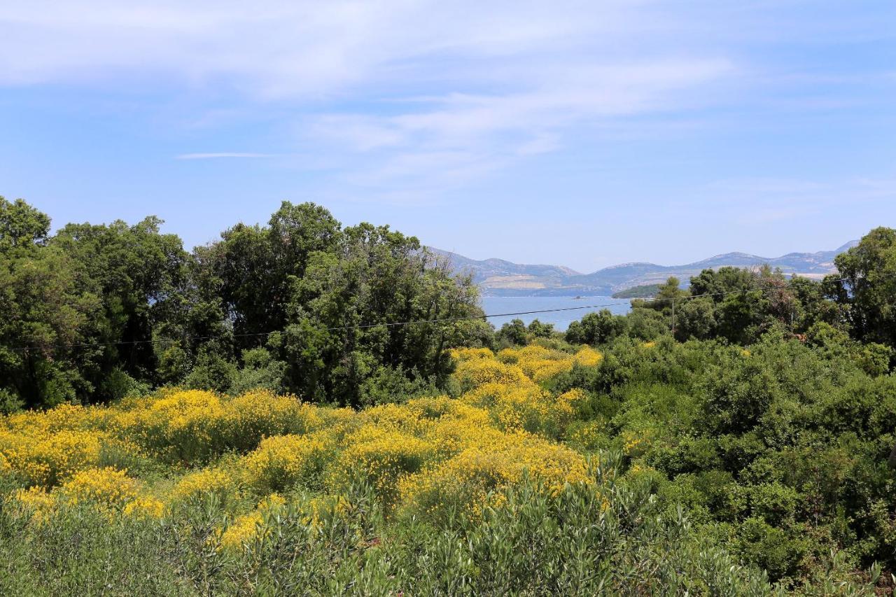 Apartments By The Sea Drace, Peljesac - 10127 ภายนอก รูปภาพ