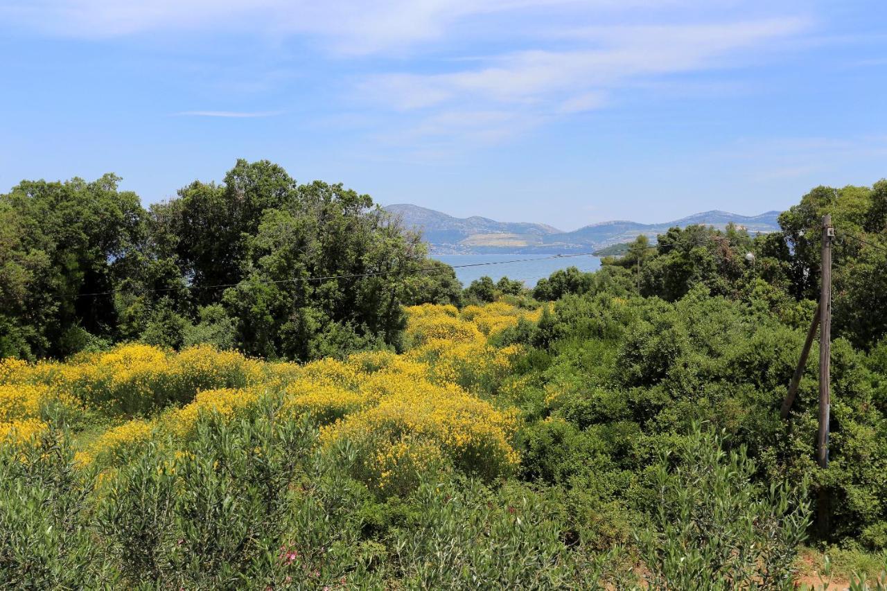 Apartments By The Sea Drace, Peljesac - 10127 ภายนอก รูปภาพ